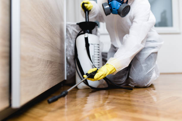Best Termite Control Services  in Norco, LA