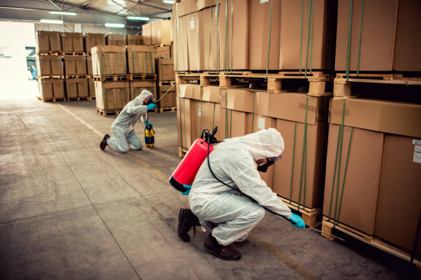 Best Commercial Pest Control Services  in Norco, LA