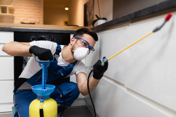 Best Residential Pest Control  in Norco, LA