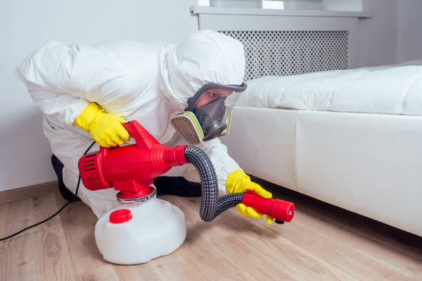 Best Best Pest Control Companies  in Norco, LA