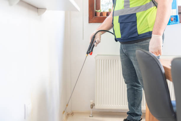 Best Mosquito Control Services  in Norco, LA