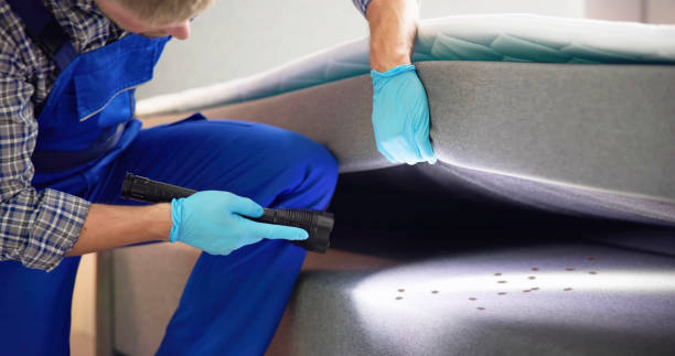 Professional Pest Control in Norco, LA