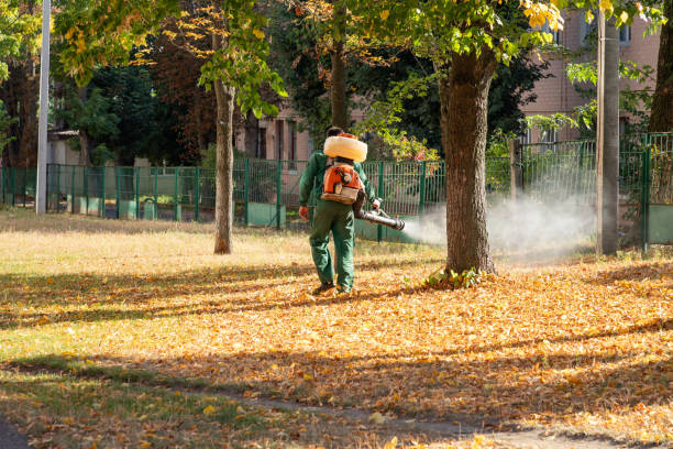 Best Pest Removal Services  in Norco, LA