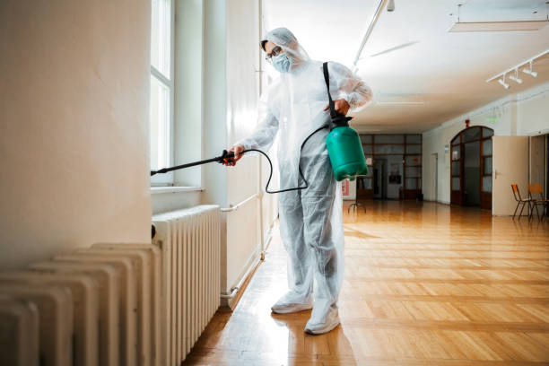 Insect Control in Norco, LA