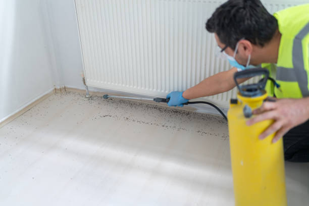 Best Insect Control  in Norco, LA