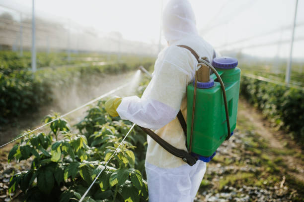 Best Pest Removal Services  in Norco, LA